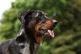 BEAUCERON 798